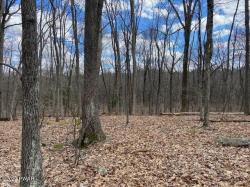 LOT 359 Panda Road Dingmans Ferry, PA 18328