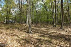 Lot 225 Tink Wig Drive Hawley, PA 18428