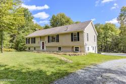 31 Halawasa Lane Lake Ariel, PA 18436