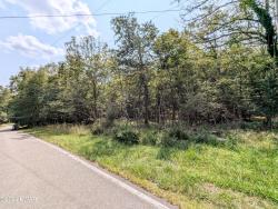 Lot 270 Saunders Ct Bushkill, PA 18324