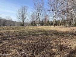 Lot 701 Black Bear Road Lake Ariel, PA 18436