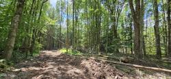 Lot 81.4 County Route 114 Cochecton, Ny, NY 12726