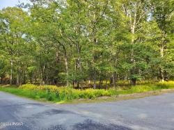 Lot 201 Tink Wig Drive Hawley, PA 18428