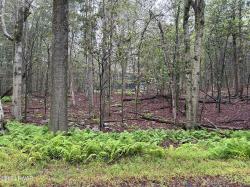 Lot 26 Raintree Road Newfoundland, PA 18445