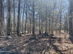 Lot 1138 Chipmunk Lane Lake Ariel, PA 18436