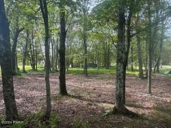 Lot 159 Cranberry Drive Bushkill, PA 18324