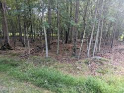 Lot 1 High Ridge Rd Dingmans Ferry, PA 18328