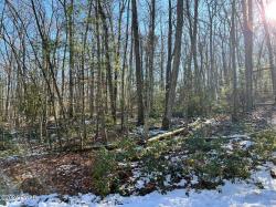 Lot 762 Mountain Snow Circle Tafton, PA 18464