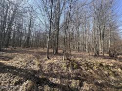 LOT 394 Snowshoe Circle Lake Ariel, PA 18436