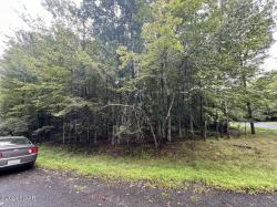 LOT 373 Osprey Circle Lake Ariel, PA 18436