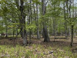 Lot 539 Paper Birch North Tafton, PA 18464