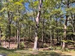 Lot 36 Mt Shadow Ln & Roosie Rd Bushkill, PA 18324