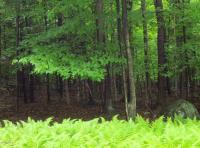 590 Chipmunk Trl, Lake Ariel, PA 18436
