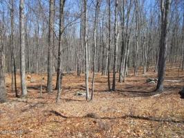116 Red Breast, Lackawaxen, PA 18435