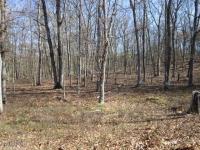 269 West Lakeview Rd, Lackawaxen, PA 18435