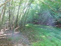 LOT 389 Creek Court, Hawley, PA 18428