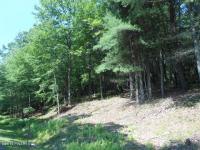 LOT 794 Tink Wig Dr, Hawley, PA 18428
