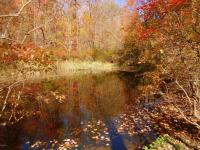153 Lacawac Rd, Lake Ariel, PA 18436