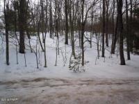 151 Falling Waters Blvd, Lackawaxen, PA 18435