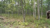 111 & 112 Mountain Top Rd, Lackawaxen, PA 18435