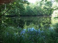 1386 Mt Cobb Road, Lake Ariel, PA 18436