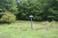 1009 Clubhouse Ct, Hawley, PA 18428