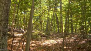 1EE24 East Shore Dr, Hawley, PA 18428