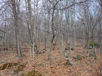 142 Lamplighter, Lackawaxen, PA 18435