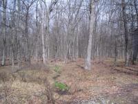 245 W Lakeview Dr, Lackawaxen, PA 18435