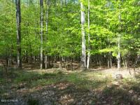 198 Lake Rd, Lake Ariel, PA 18436