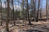 Mustang Road Lot 361, Lake Ariel, PA 18436