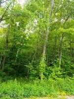 Hanlon Rd, Lake Ariel, PA 18436