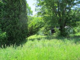 Corner Sr 690 & Haas Pond Rd, Madison Township, PA 18444