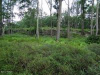 37 Blue Heron Way, Hawley, PA 18428
