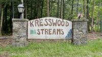 Snowdrift Rd, Newfoundland, PA 18445