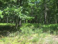 162 Rainbow Dr, Lackawaxen, PA 18435