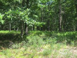 162 Rainbow Dr, Lackawaxen, PA 18435