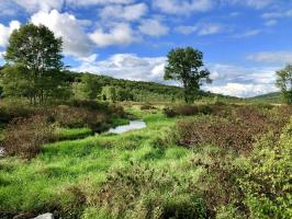 Maplewood Rd, Lake Ariel, PA 18436