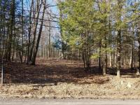 Twin Rocks Rd, Sterling, PA 18463