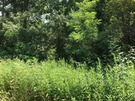 11 Lake Henry Rd, Lake Ariel, PA 18436