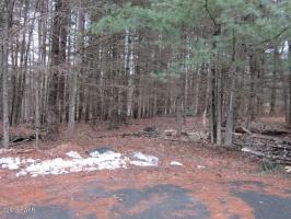 109 Bugle Ct, Lackawaxen, PA 18435
