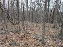 Lot 135 Lower Independence Dr, Lackawaxen, PA 18435