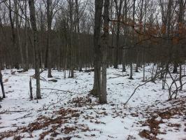 181 Eagle Rock Rd, Lackawaxen, PA 18435