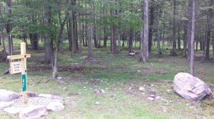 142 Underwood Ln, Lake Ariel, PA 18436