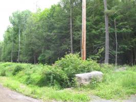 6 Phillips Rd, Newfoundland, PA 18445