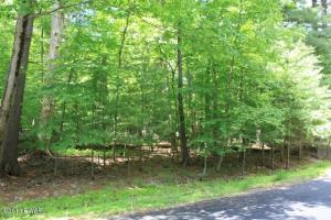 104 Militia Ct, Lackawaxen, PA 18435