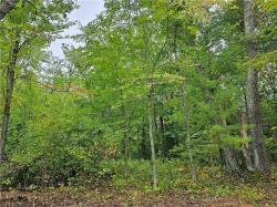 Lot 2 Maria's Way Webster, WI 54893