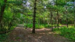 Lot 39 1517 Hardwood Court Cable, WI 54821