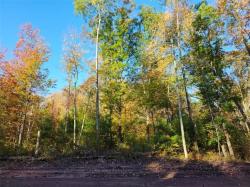 Lot 6 Maria's Way Webster, WI 54893