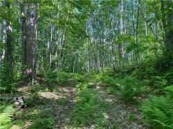 Lot 7 Secluded Trail Hayward, WI 54843